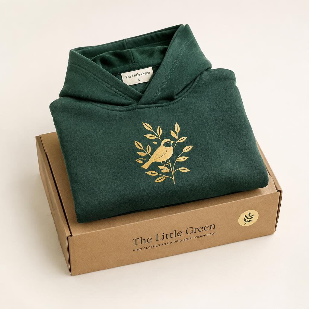Guardian Hoodie product photo